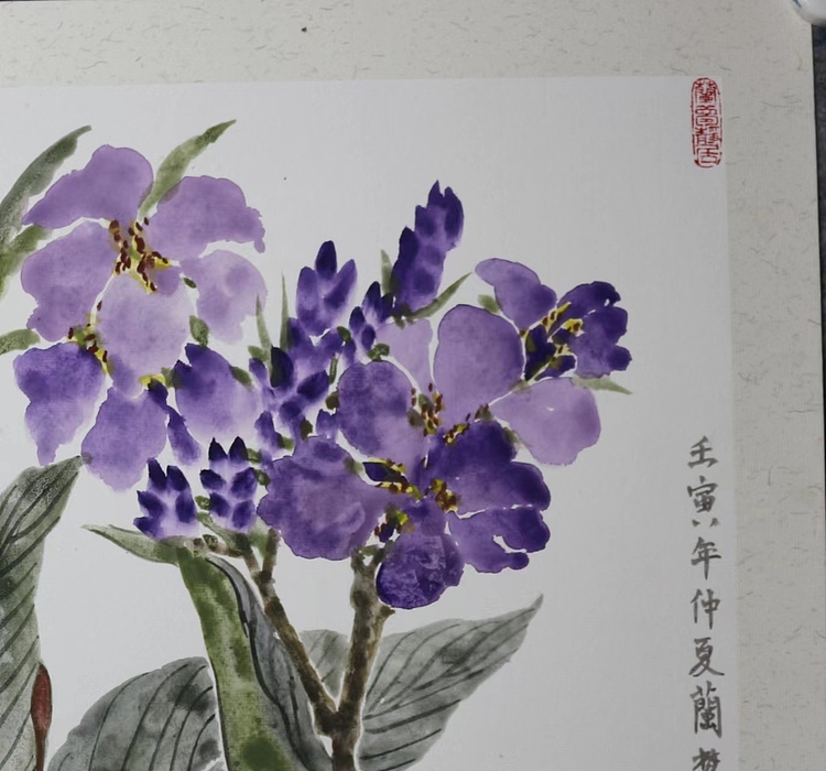 来荣娜 美人蕉