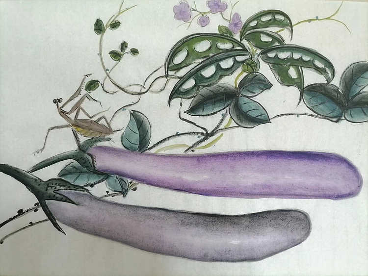 仟亿 紫瓜茄子