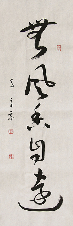 中国书法家协会会员 北京画院特聘书法家 马章乘