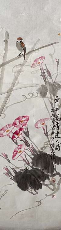 翱翔 牵牛花香