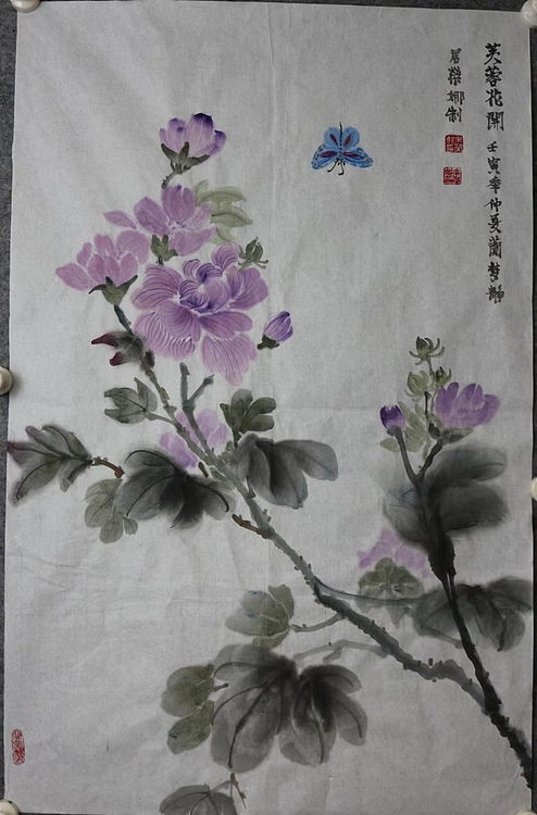 来荣娜 芙蓉花开