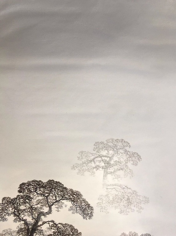 陈一茗 层层叠叠