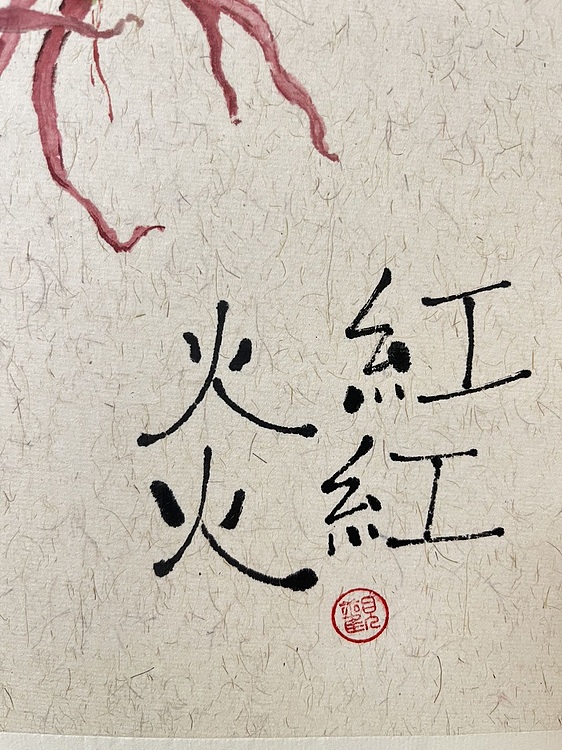 昭非 红红火火