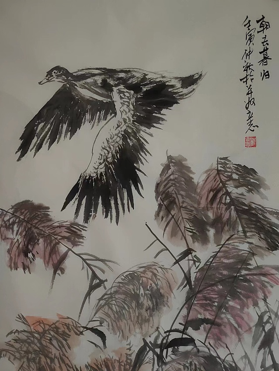 范立志 朝去暮归
