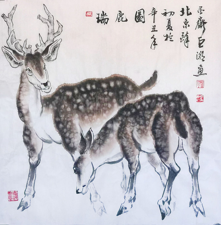 中国美术家协会会员，甘肃省国画院副院长巨潮教授