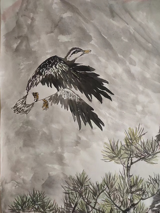 范立志 朝去暮归