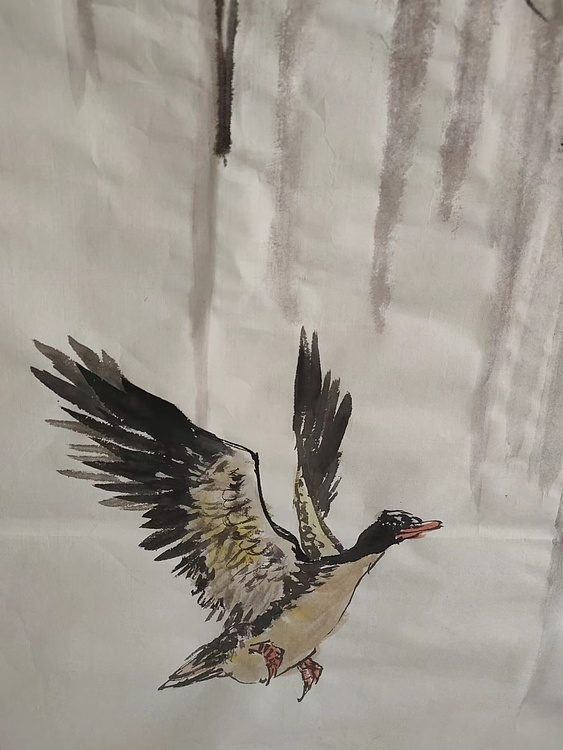 范立志 冰魂艳葩