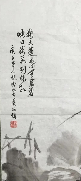林烽 荷花，接天莲叶无穷碧，映日荷花别样红！