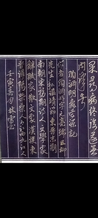 林烽 汉简草书，桃花源记