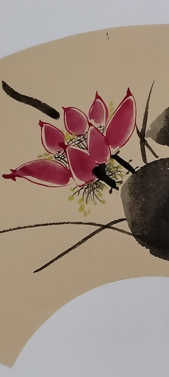 林烽 荷花清趣