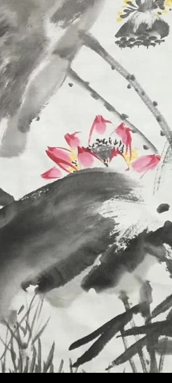 林烽 清趣荷花