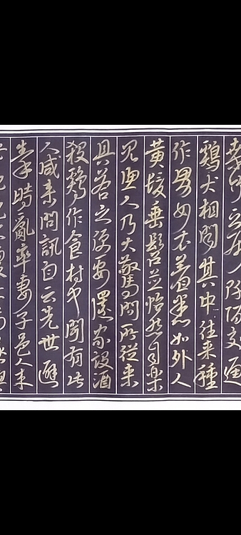 林烽 汉简草书，桃花源记