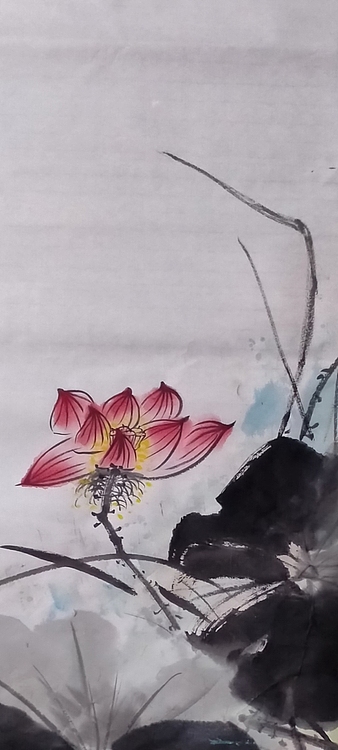 林烽 荷花玉洁冰清