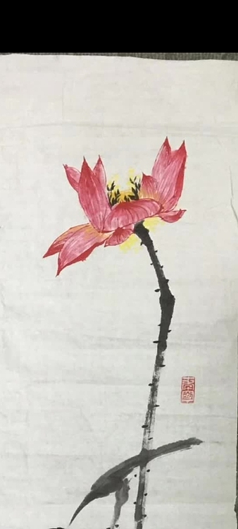 林烽 荷花，接天莲叶无穷碧，映日荷花别样红！
