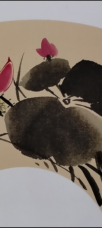 林烽 荷花清趣