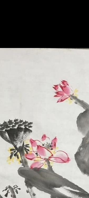 林烽 清趣荷花