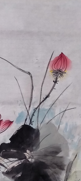 林烽 荷花玉洁冰清