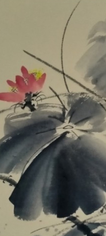 林烽 荷花和谐之韵