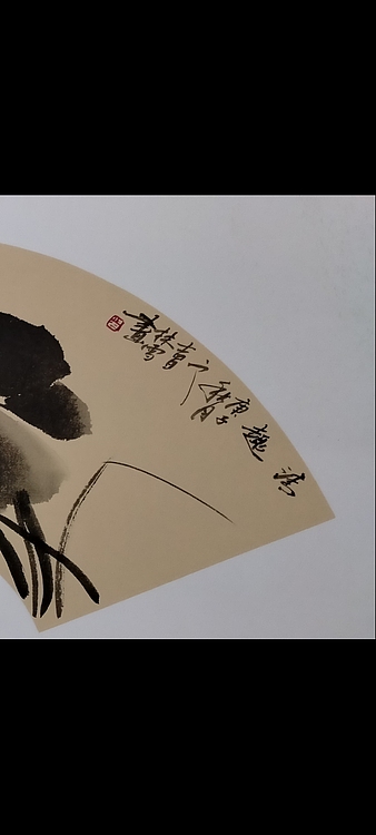 林烽 荷花清趣