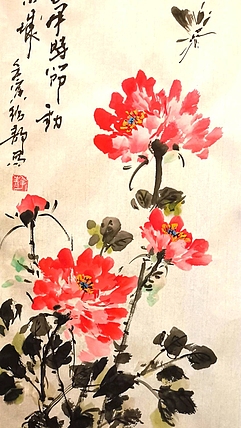 绍静 牡丹