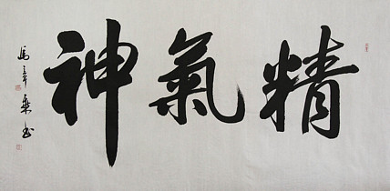 中国书法家协会会员 北京画院特聘书法家 马章乘