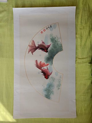 翱翔 金鱼