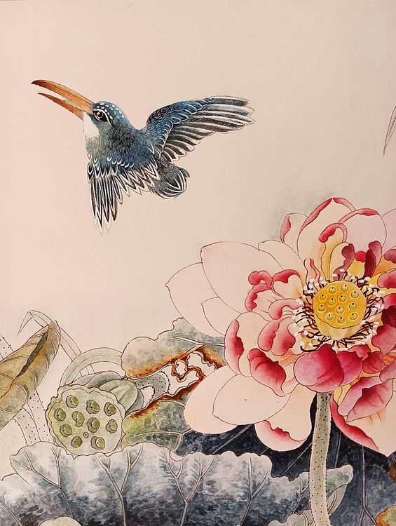 砚沐 荷花翠鸟美术学院艺术硕士作品