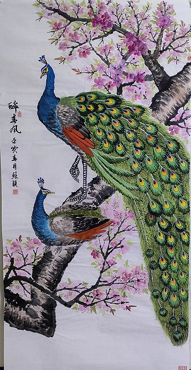 苏颖 醉春风43