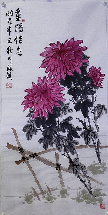 苏颖 重阳佳色70