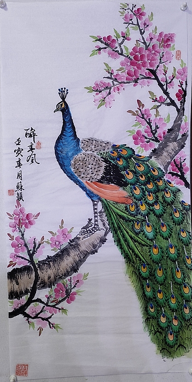 苏颖 醉春风64