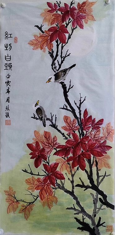 苏颖 红到白头50
