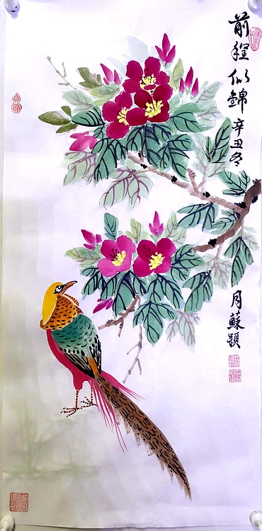苏颖 前程似锦182