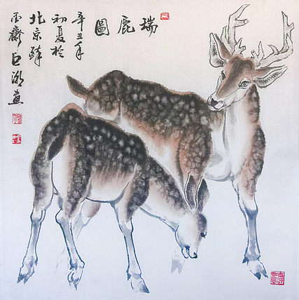 中国美术家协会会员，甘肃省国画院副院长巨潮教授