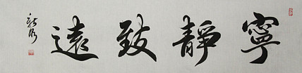中国书法家协会会员 王新泉