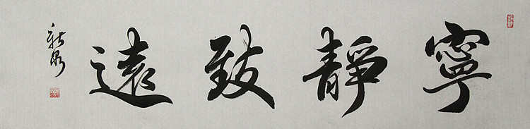 中国书法家协会会员 王新泉