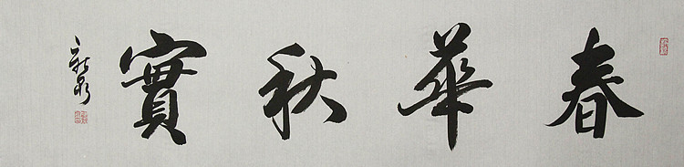中国书法家协会会员 王新泉