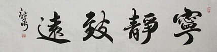 中国书法家协会会员  王新泉