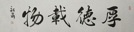 中国书法家协会会员 王新泉