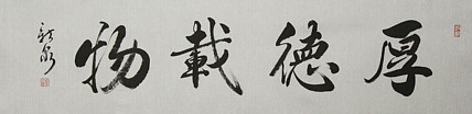 中国书法家协会会员 王新泉