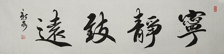 中国书法家协会会员 王新泉
