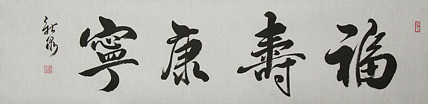 中国书法家协会会员 王新泉