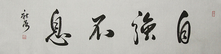中国书法家协会会员 王新泉