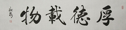 中国书法家协会会员 王新泉