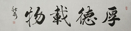 中国书法家协会会员 王新泉