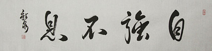 中国书法家协会会员 王新泉
