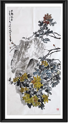兰花 菊