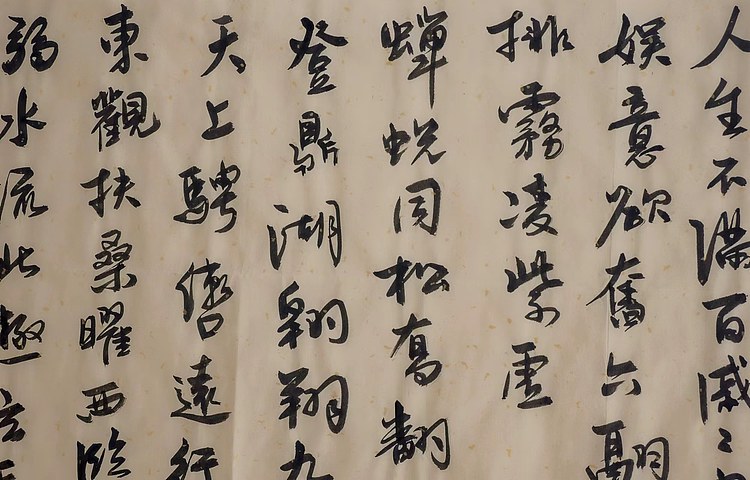 职业书画家 王冠霖 曹植《飞龙篇》009