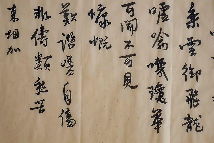 职业书画家 王冠霖 阮籍诗二首0011