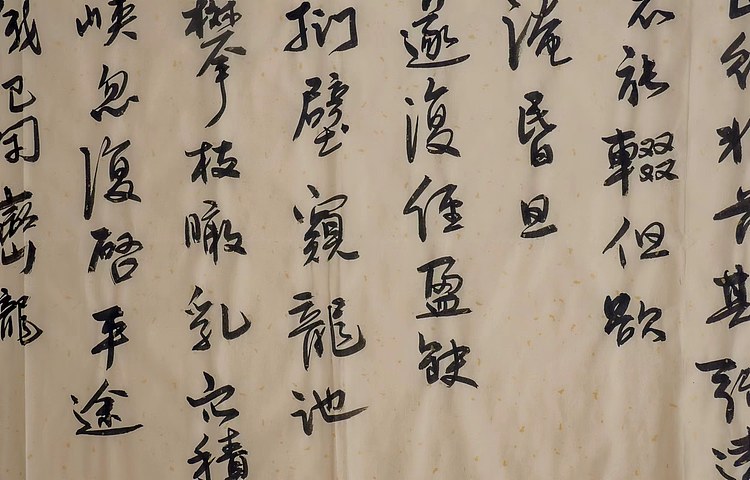 职业书画家 王冠霖 谢灵运诗二首0014