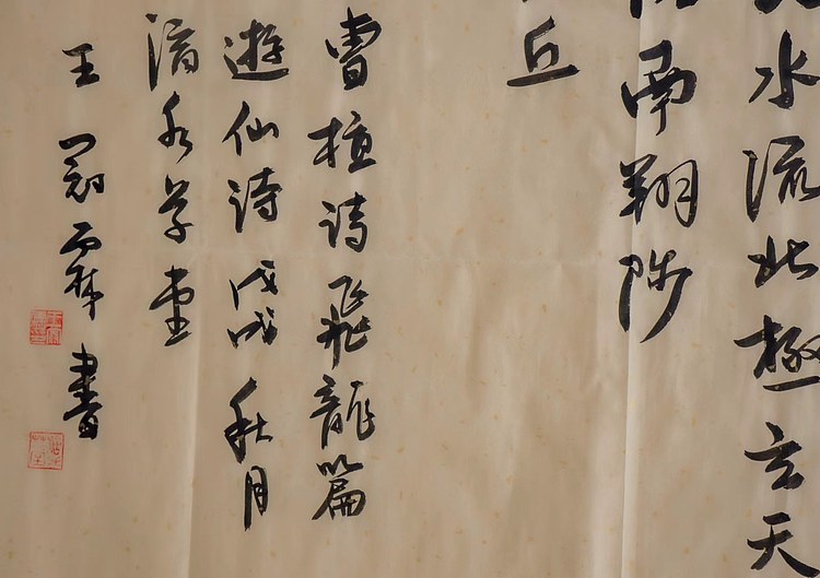 职业书画家 王冠霖 曹植《飞龙篇》009